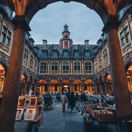 My Little Home - Le Vieux Lille De St Etienne Extérieur photo